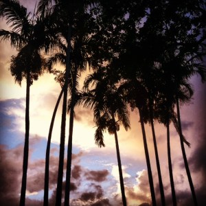 Coral Gables Sunset (Riviera Golf Course)
