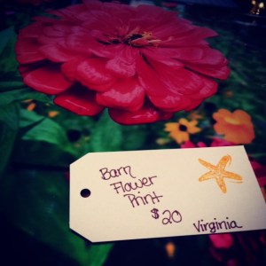 This print is a Steal at $20! 11x14