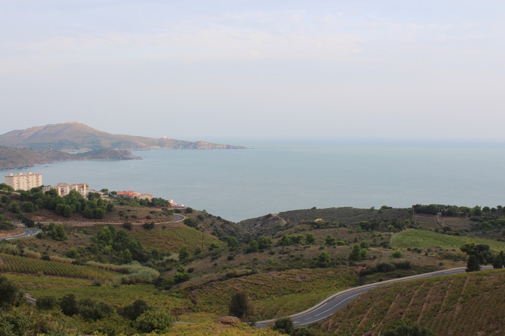 Grenache, France, French Wine, Roussillon