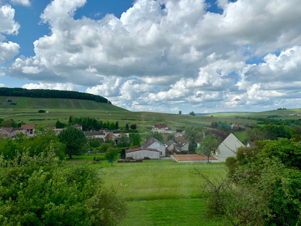 music in winemaking process