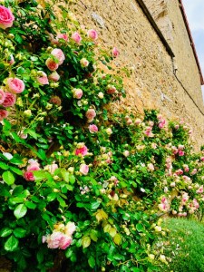 Champagne near the Battle of Verdun