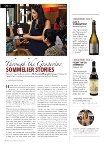 Amanda Fraga in South Florida Luxury Guide