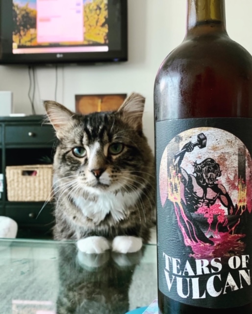 Quarantine Bottles Cont…A Month in Lockdown&nbsp;(7)