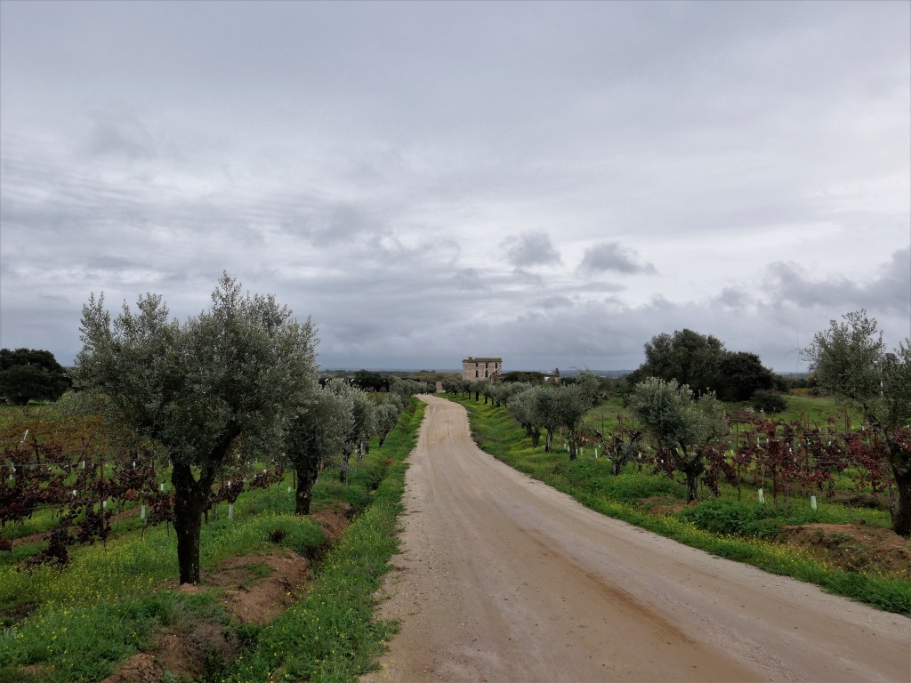 Fitapreta wines is a beautiful estate located in Alentejo, Portugal