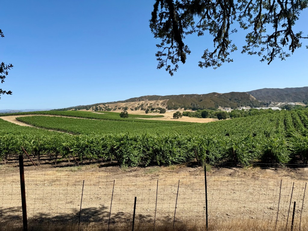 Beyond the Tasting Room in Biscayne Times